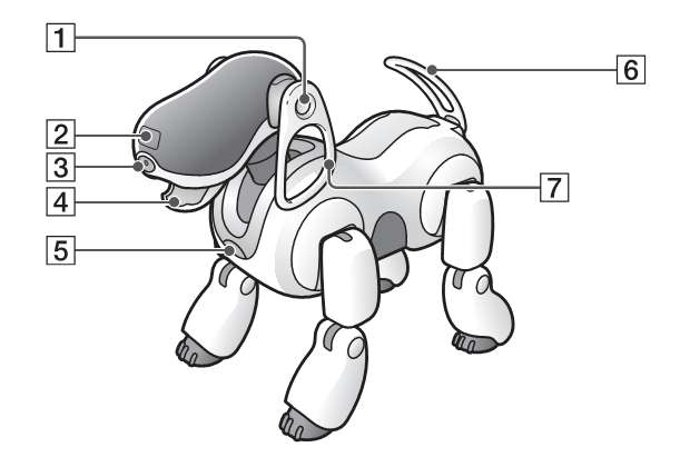 aibo_technik/techn_7-1.jpg