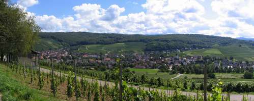 fotos_1/zv_Wolfenweiler-2006_1_pano.jpg